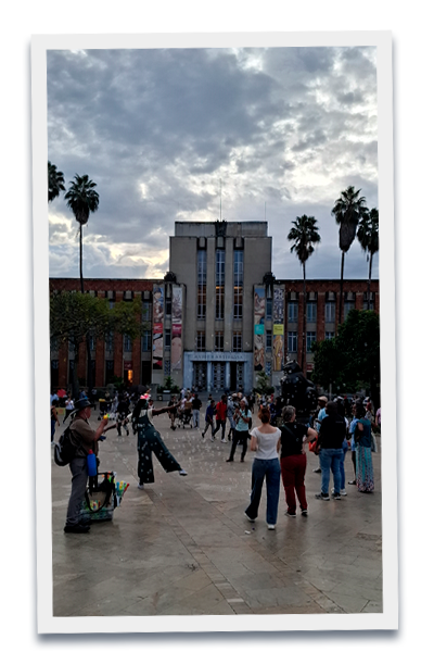 _museo